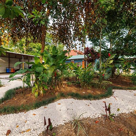 Rio Celeste Dreams Bijagua Exterior foto